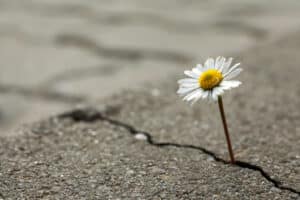 offer hope